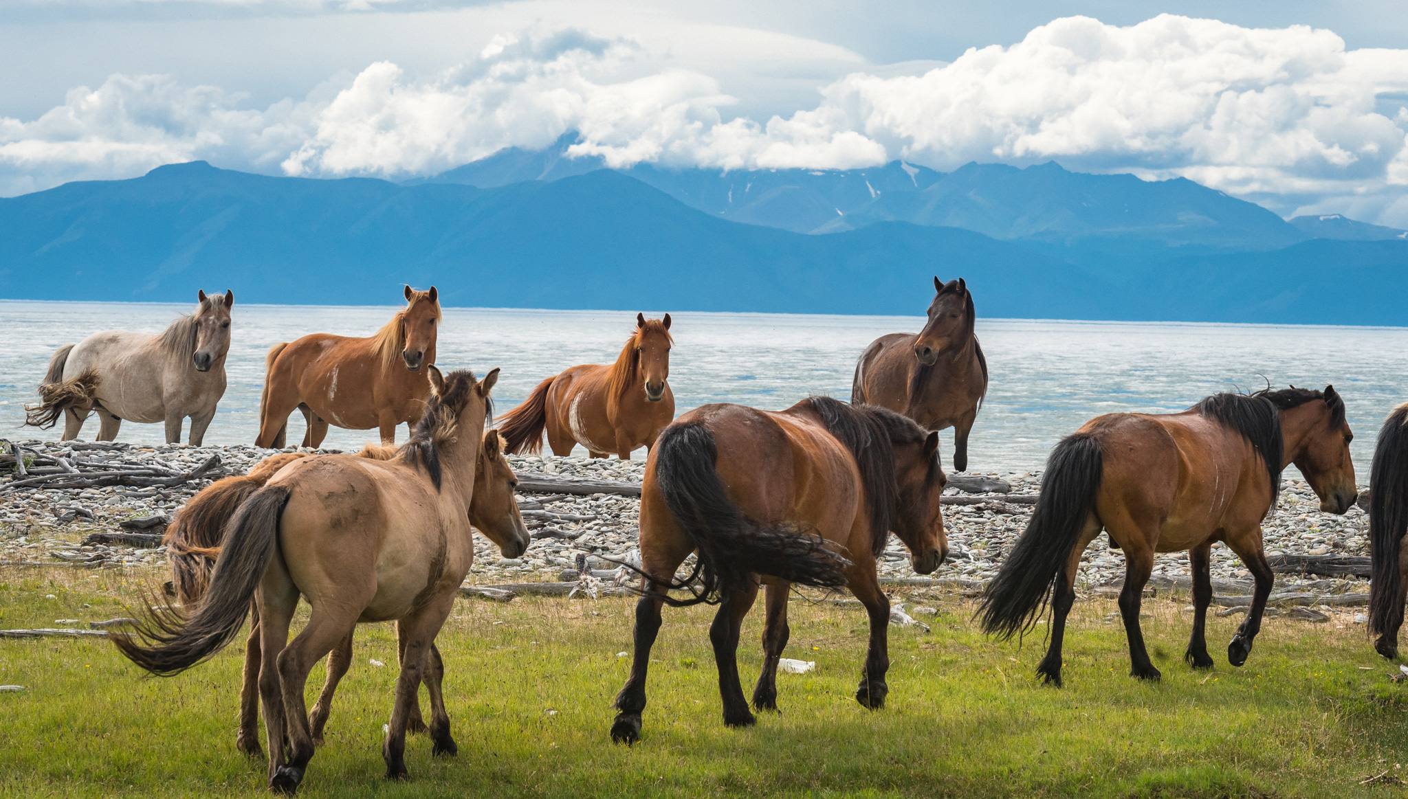The Mongolia tour to explore vast and varied landscapes