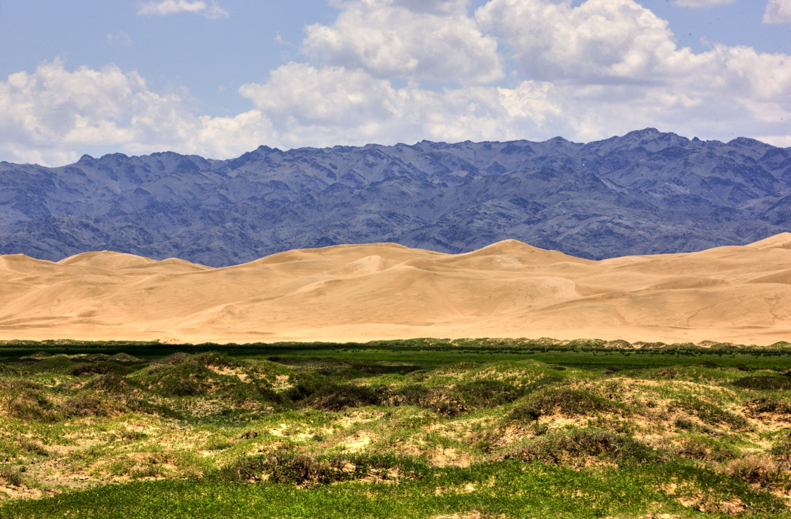 Khongor sand dunes