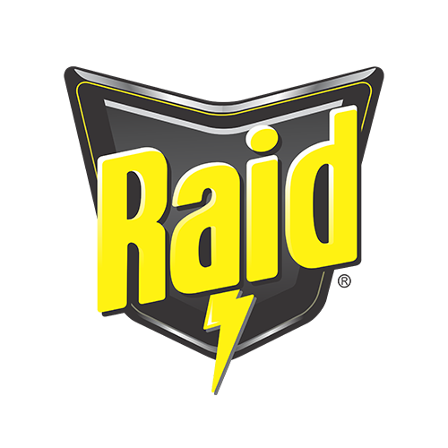 Raid